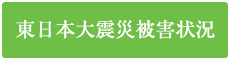 東日本大震災被害状況